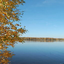 Herbst am Senftenberger See, Foto: Zweckverband LSB