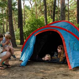 Zelten im Familienpark, Foto: Rico Schwarze - Gl&uuml;cksfoto GbR